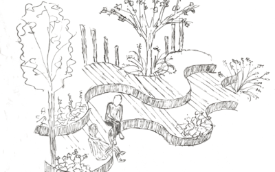 Het verdienmodel van biodiversiteit