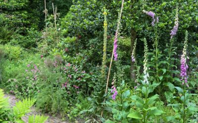 Beplanting Tuin & Landschap: kies sowieso voor variatie!